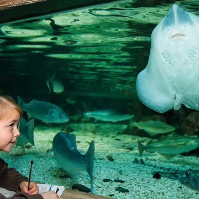 Girl And Stringray