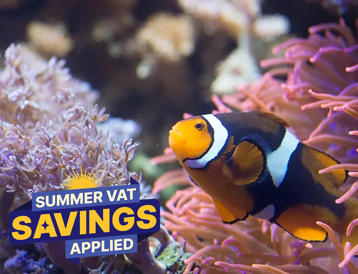 VAT SL