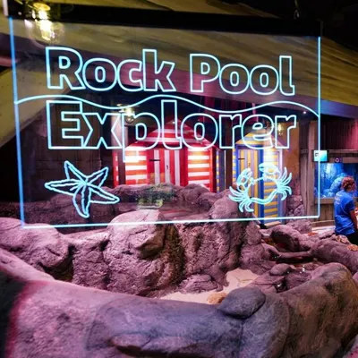 Rockpool Explorer