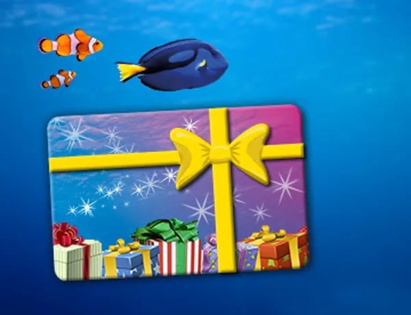 SL Accesso 360X276px Geschenkticket Christmas Ohne