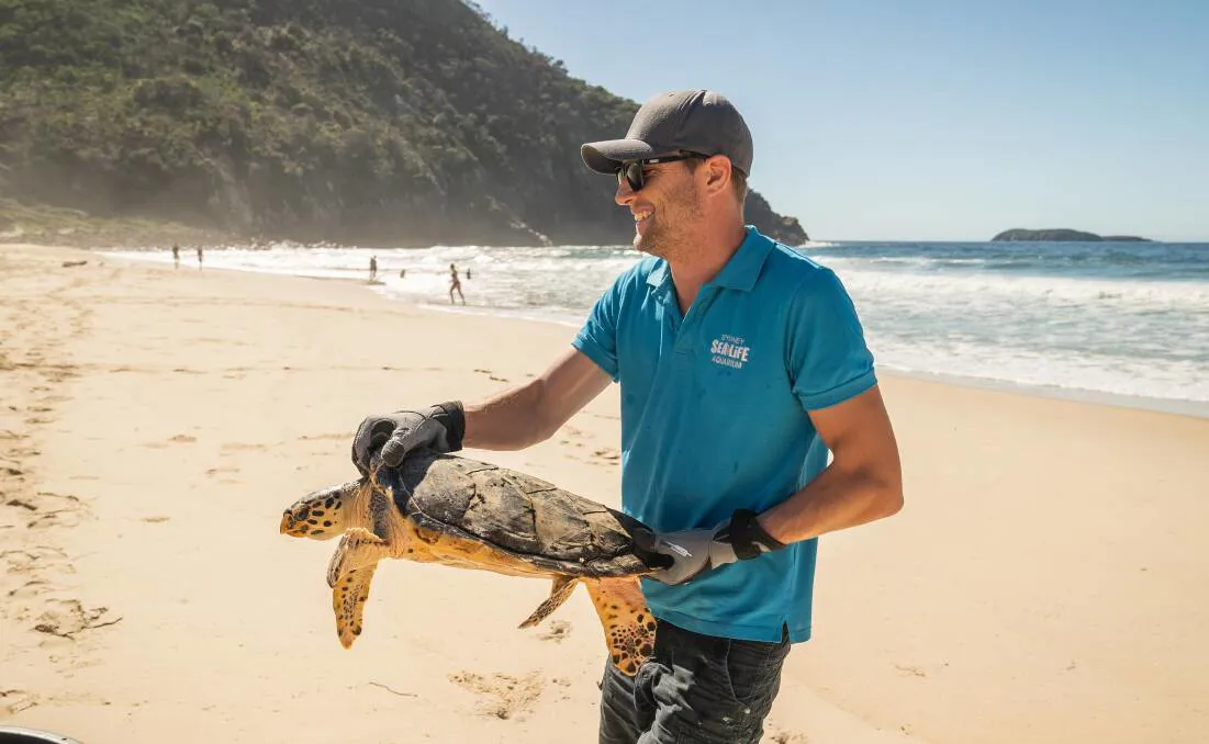 Rescuerestoreprotect