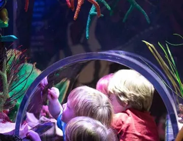 Viele der Aquarien im SEA LIFE sind auf Kinderhöhe - damit die Kleinen den besten Blick haben