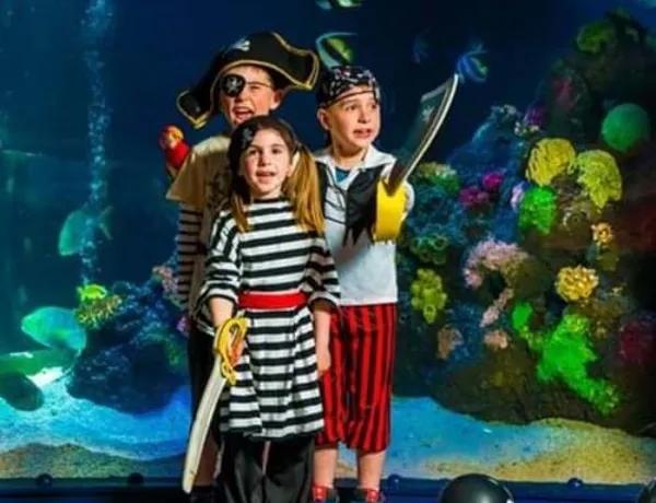 Kindergeburtstag mit Piratenmotto im SEA LIFE