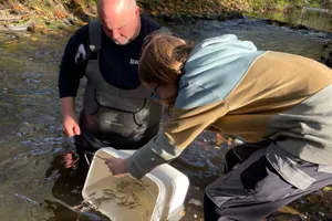 SEA LIFE Hannover Lachs Auswilderung 2022