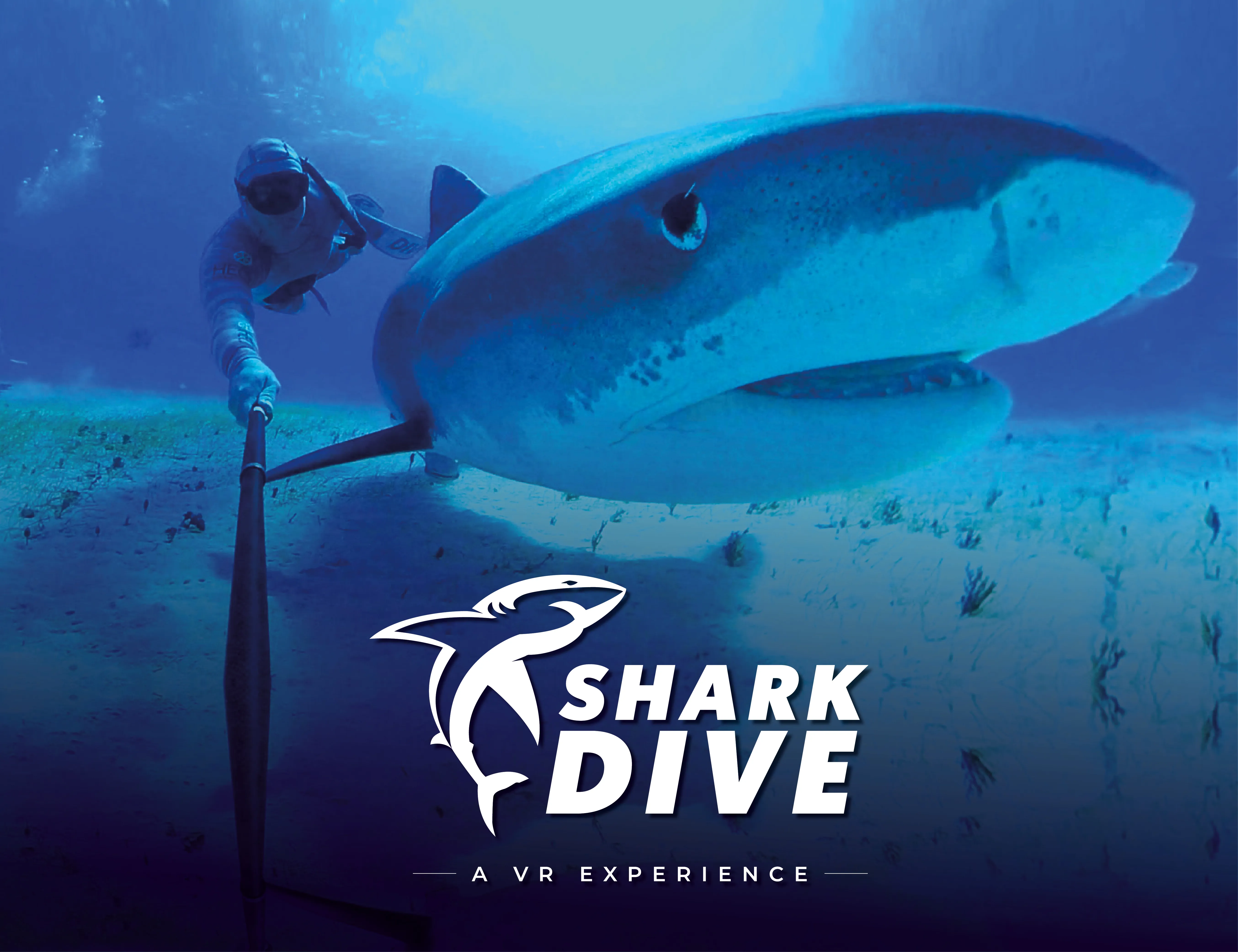 SHARK DIVE ENGLISH EMAIL INSET IMAGE 1300 X 1000 GENERIC 1