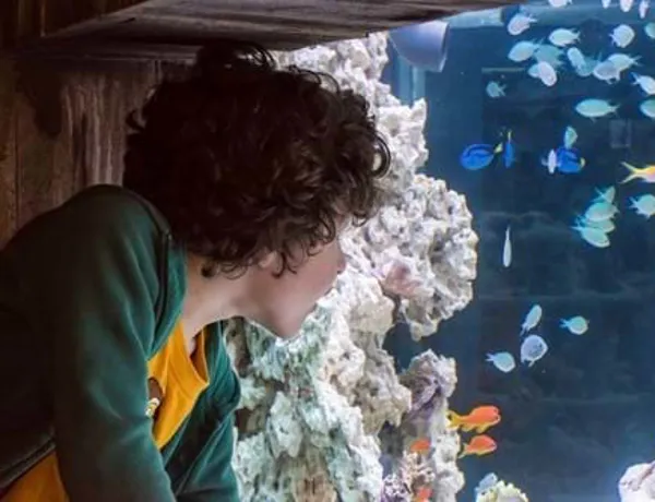 For children SEA LIFE is a fascinating place where they learn a lot
