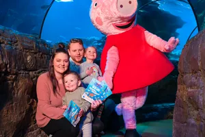 Peppa Pig 2