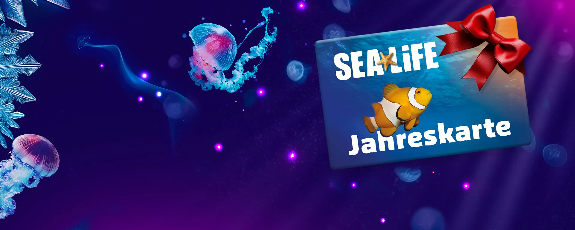 SLH SAP25 1920X770 Neu