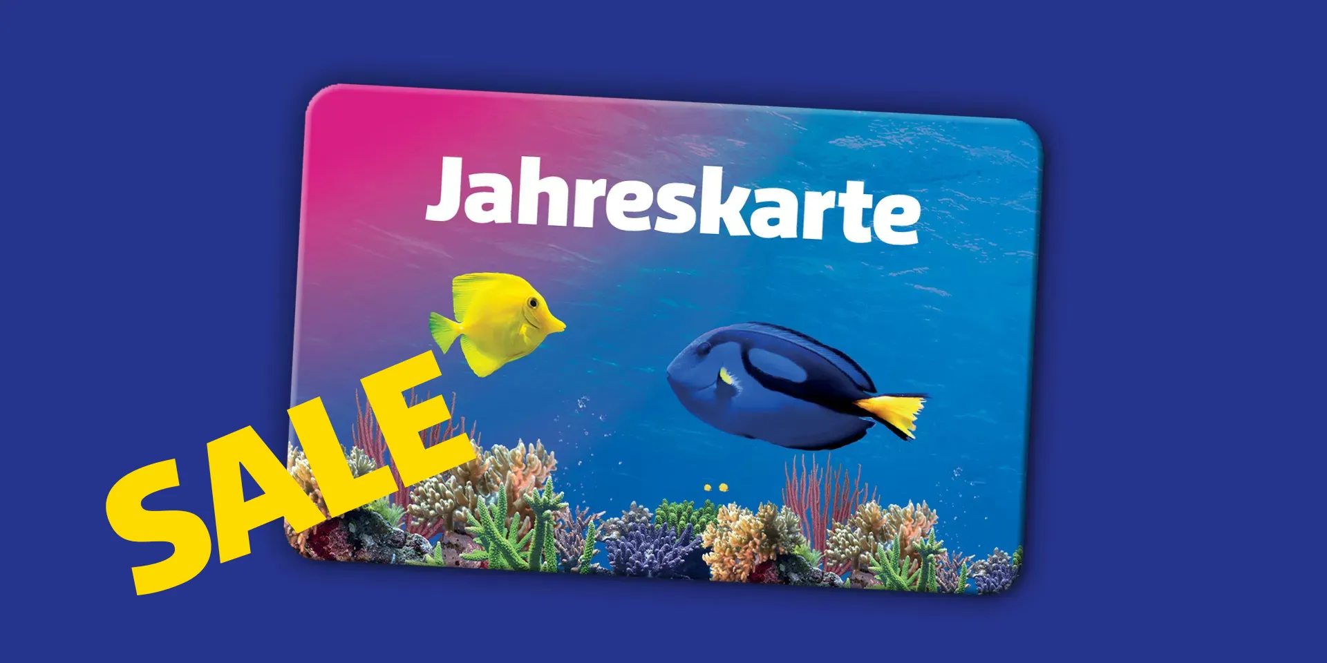 Accesso 1920X960px Sl Han Sale