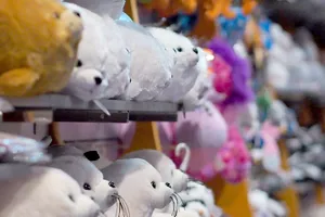 Im SEA LIFE Souvenirshop kannst du das perfekte Andenken an deinen Besuch shoppen