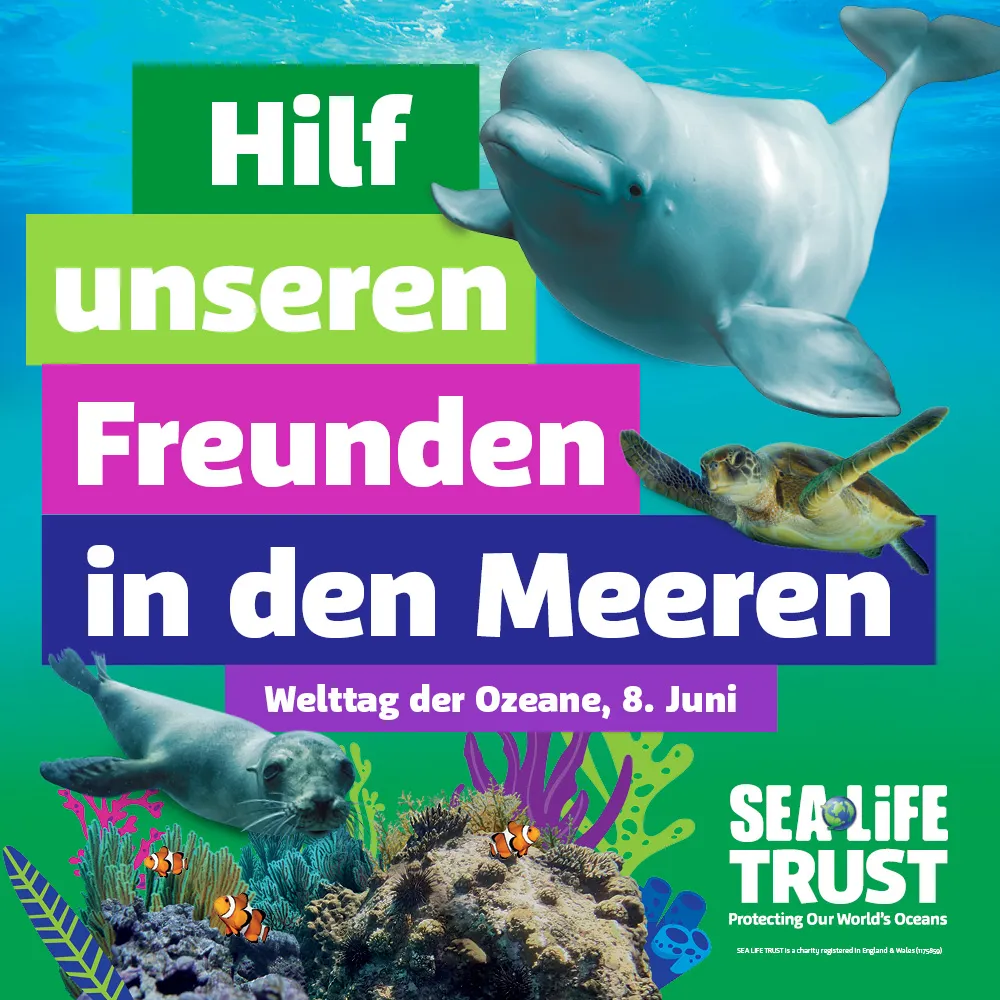 Event Square 1000X1000 German