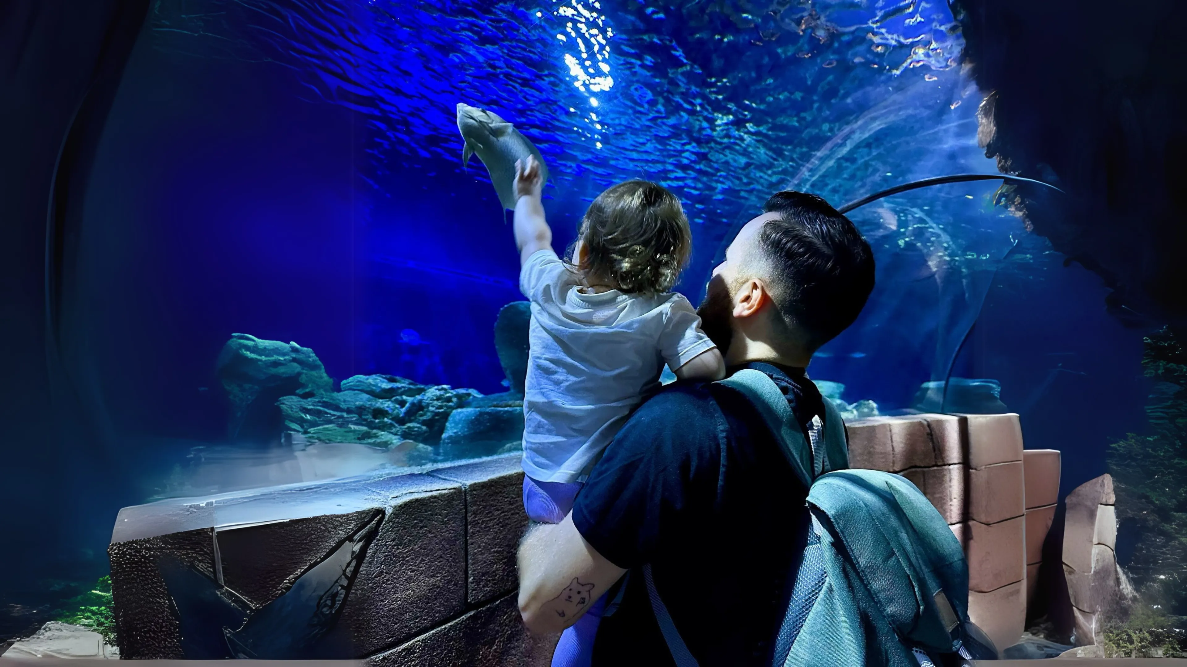 Mann und Kind im Ozeantunnel im SEA LIFE Hannover
