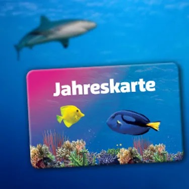 Jahreskarte