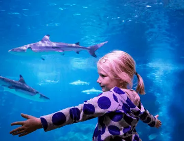 LTO Kids Column List 360X276px (1)