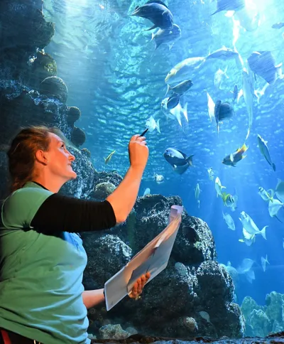 Fisch Inventur SEA LIFE Hannover