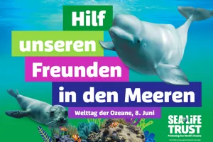 Additional Event Image 1400X1000 German