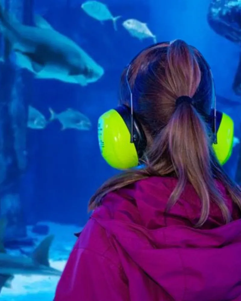 Hero Stiller Tag Mobil