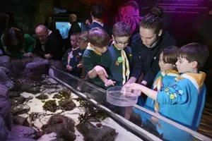 Am Berührungsbecken im SEA LIFE können Kinder einige Tiere von ganz nah kennenlernen