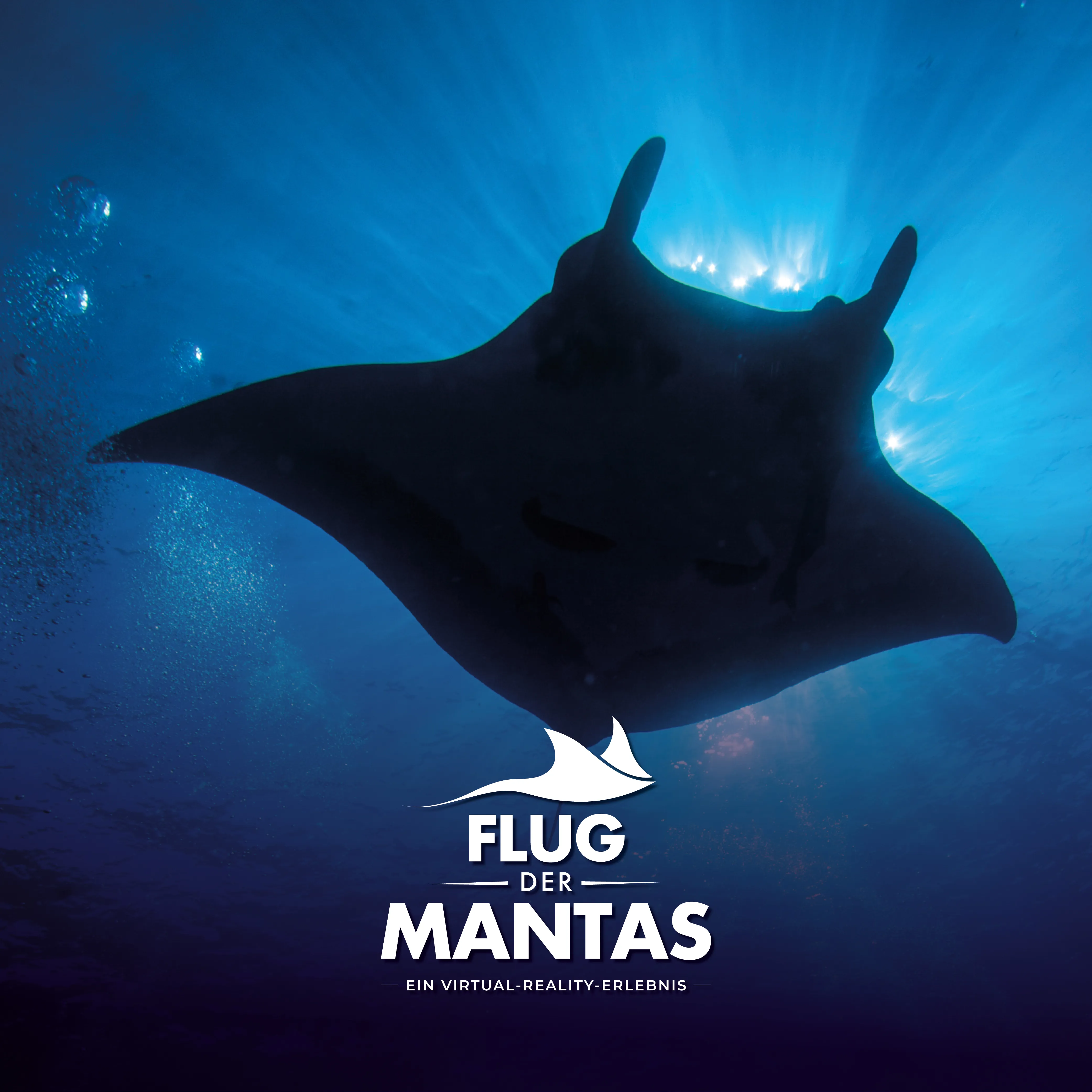 FLIGHT OF THE MANTAS GERMAN SOCIAL 1000 X 1000 GENERIC 1