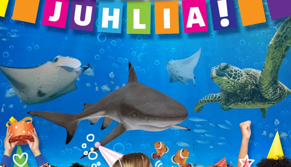 SEALIFE BIRTHDAYS Header FIN
