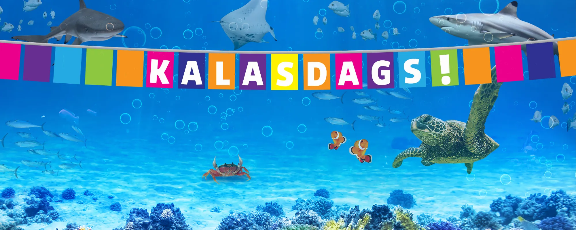 Sea Life Helsinki Birthday Header