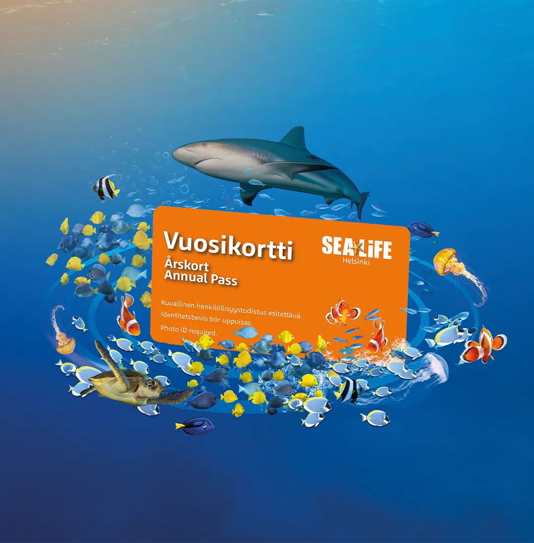 Vuosikortti Sealife