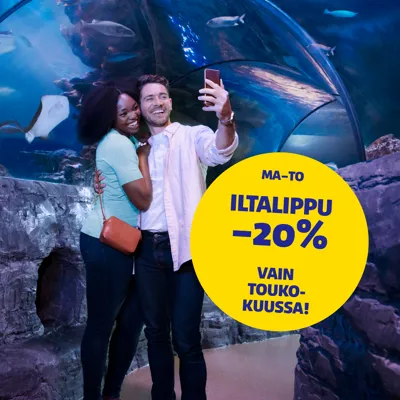 Iltalippu Etusivu Nosto Pieni