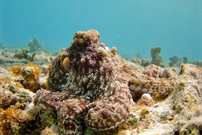 Vlad Tchompalov Npqsav29evu Unsplash