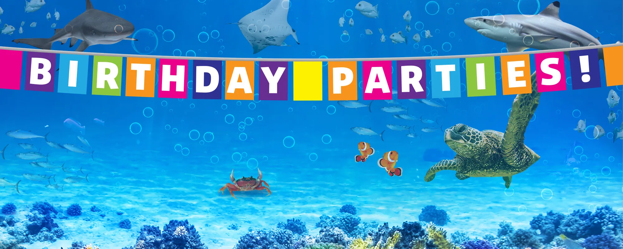 SEALIFE BIRTHDAYS Homepage Header 2000X800px