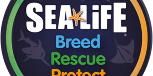 Brp Logo Tile