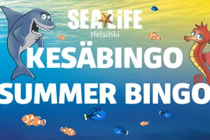 Rakkautta Aaltojen Alla
