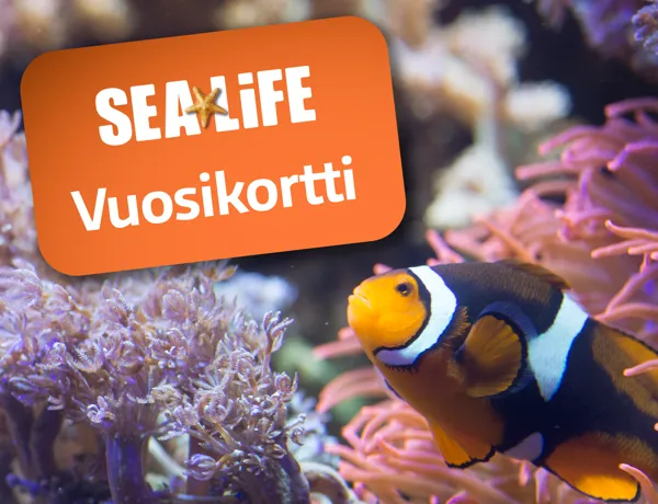 Vuosikortti