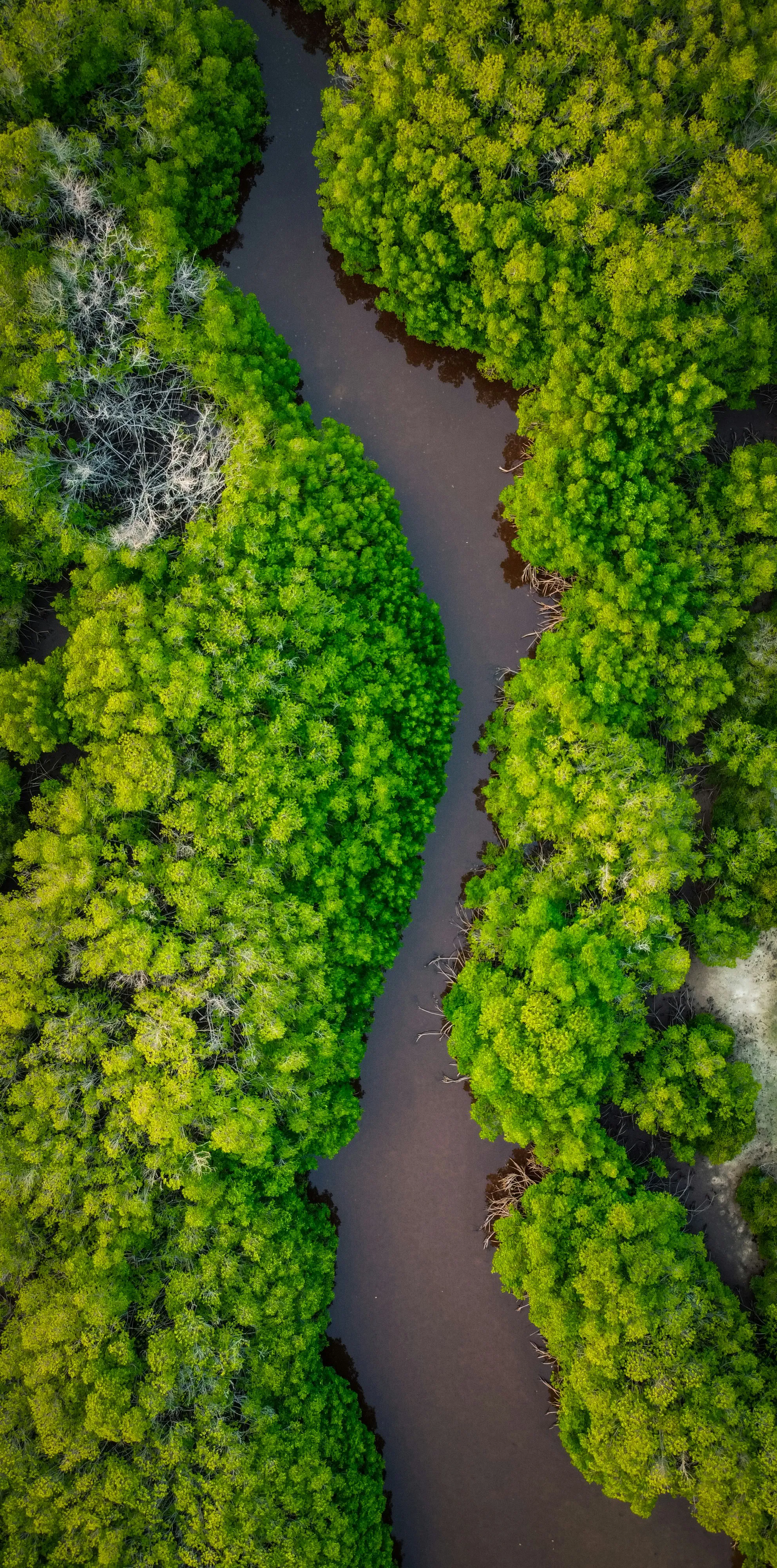 Mohmed Nazeeh Jsgchnqqeq4 Unsplash