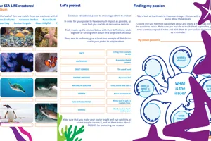 SEA LIFE Schools Image V4 1200X700