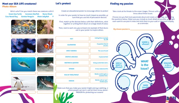 SEA LIFE Schools Image V4 1200X700