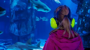 Quiet At The Aquarium
