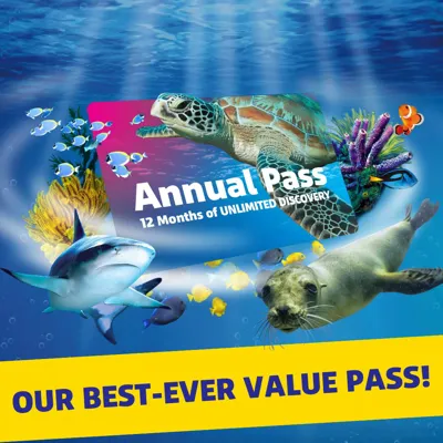 BTN Annual Pass Social Post Meta Paid 1X1
