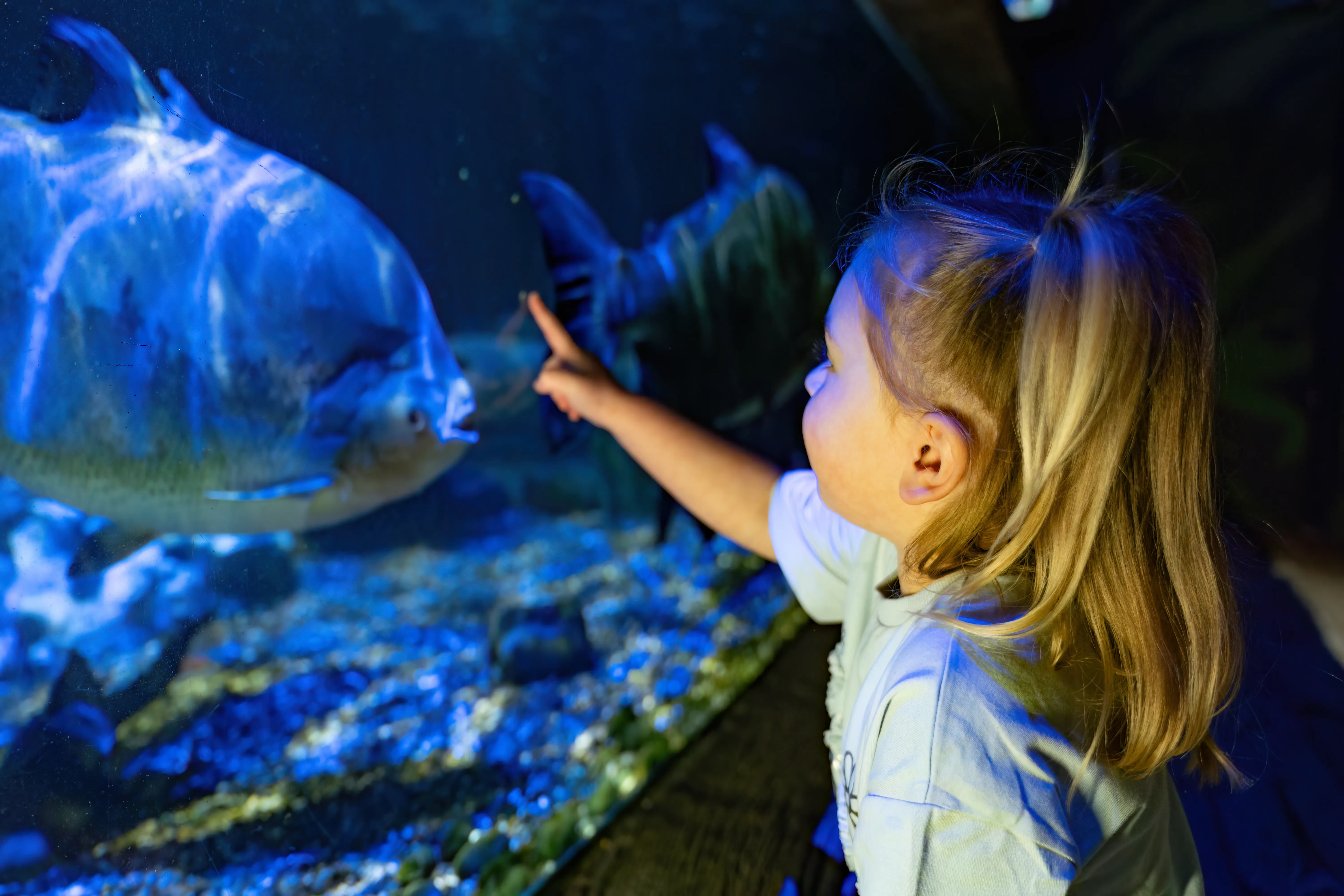 Visit SEA LIFE Hunstanton Sanctuary And Aquarium Centre