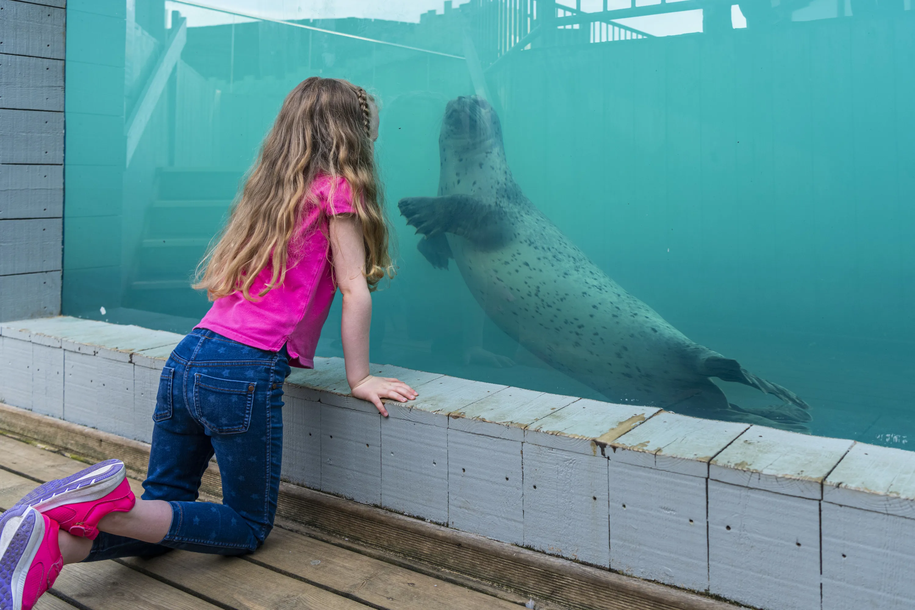 Sealife Hunstanton 036