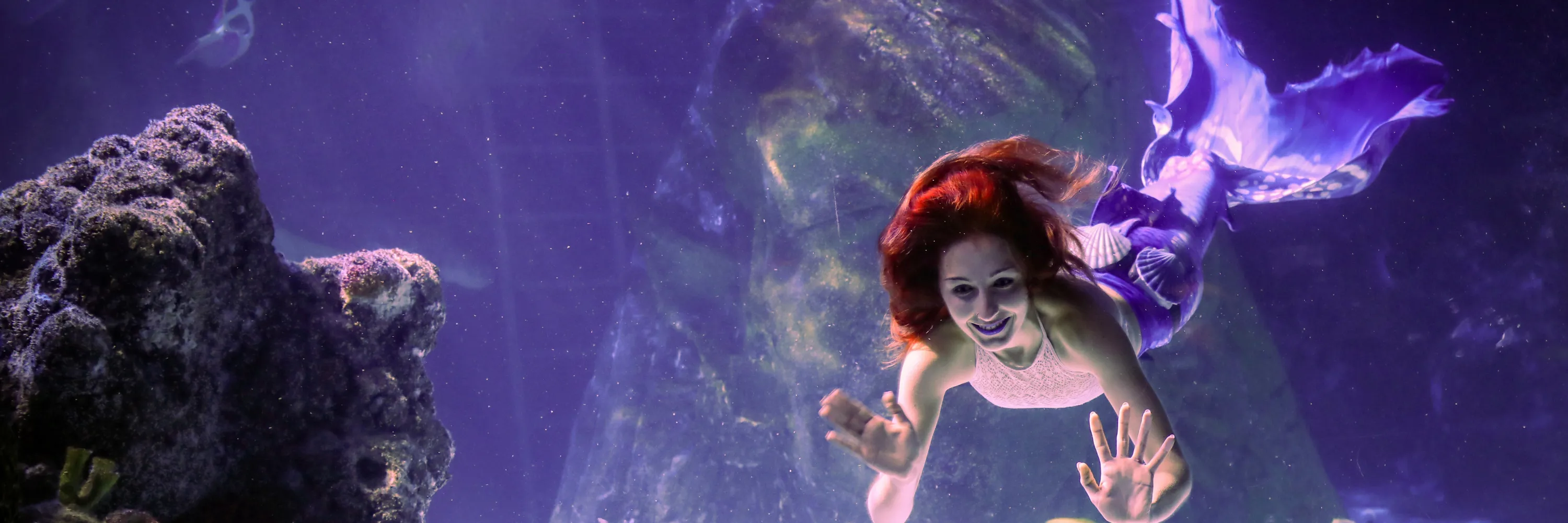 Mermaids Web Banner