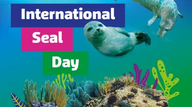 Seal Day Placeholder