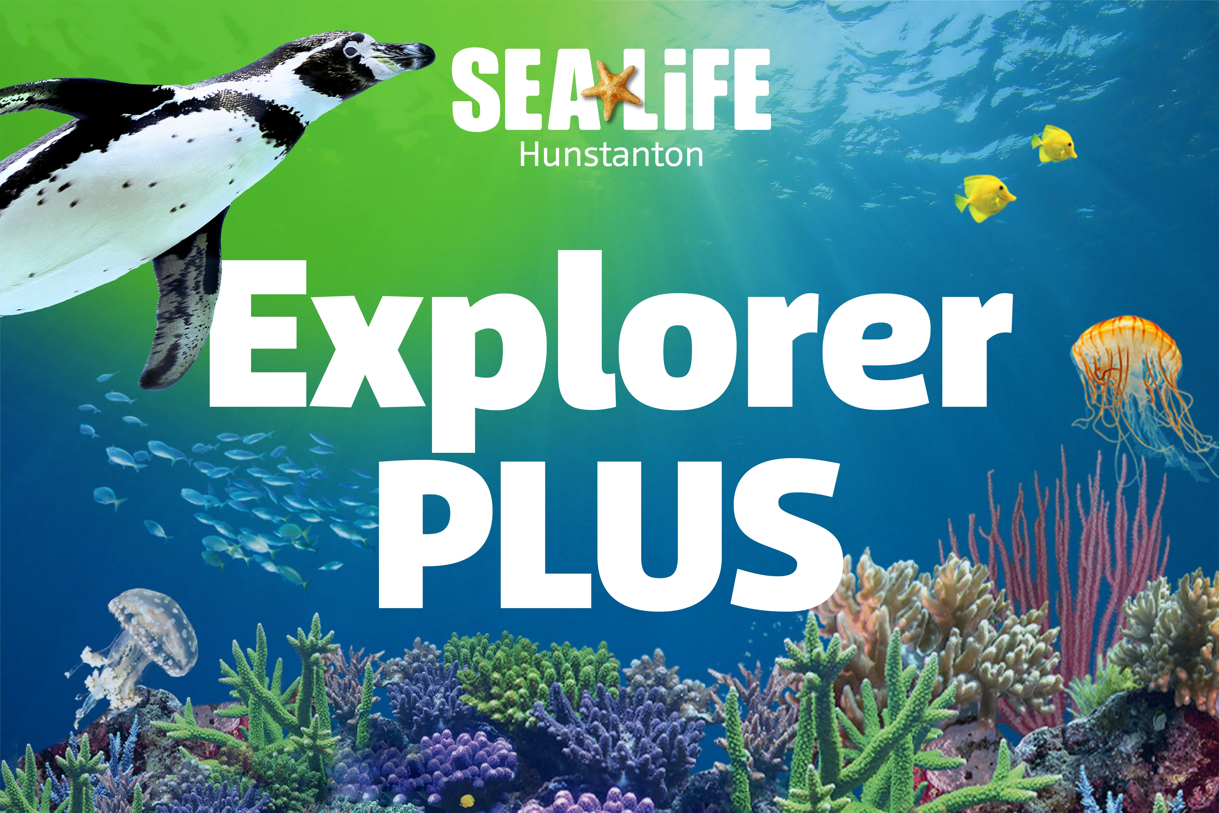 Explorer Plus Hunstanton