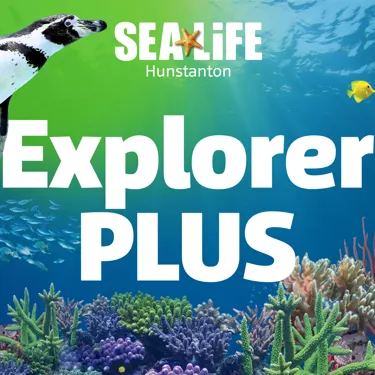 Explorer Plus Hunstanton