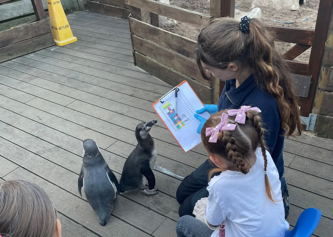 Penguin Feed Web