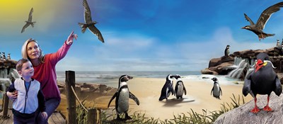 Penguin Beach And Inca Terns at SEA LIFE Hunstanton