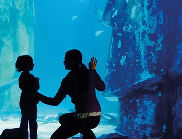 Adult And Child Aquarium