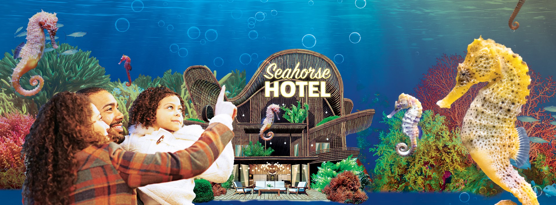 Step into the Seahorse Hotel - SEA LIFE Hunstanton