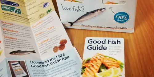 Good Fish Guide