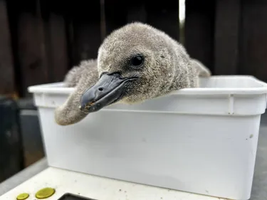 Ee76bb02 F2b6 4Fae 938A 51263694D799