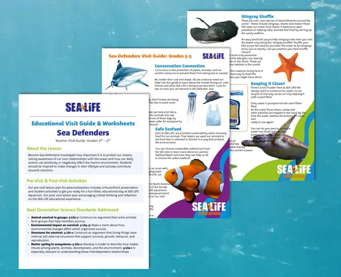 sea defenders visit guide